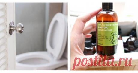 КАСТОРОВОЕ МАСЛО: ВОТ 21 ПРИЧИНА ИСПОЛЬЗОВАТЬ ЕГО ПОЧАЩЕ