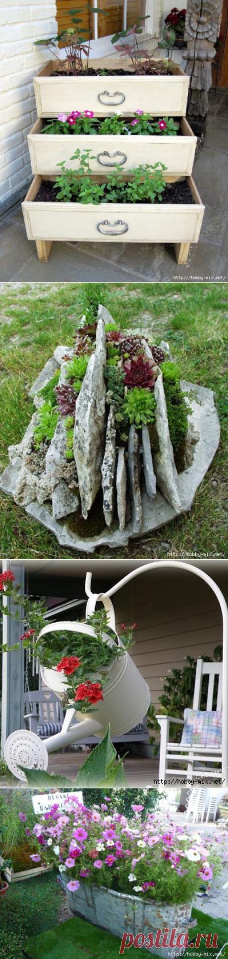 ДАЧНЫЕ РАДОСТИ | Самоцветик