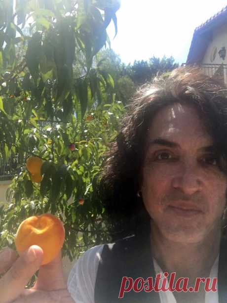 Paul Stanley