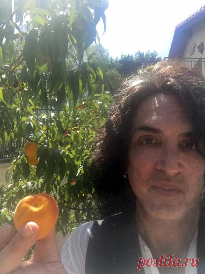 Paul Stanley