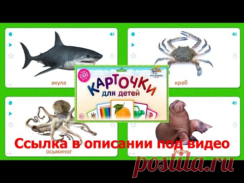 Карточки для детей. Морские животные.