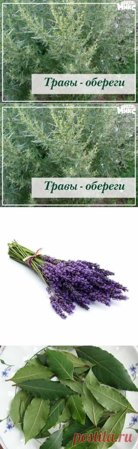 Травы-обереги