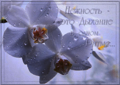 3 Июля 2015 - Анимация Gif - Красивая Анимация