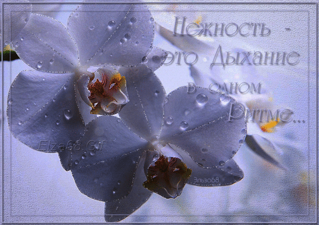 3 Июля 2015 - Анимация Gif - Красивая Анимация