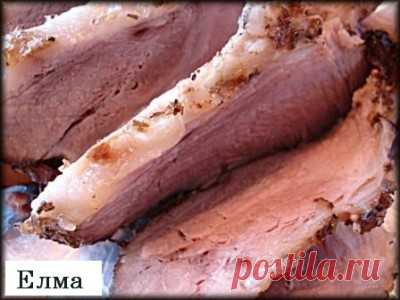 Дневник ольга_жесткова