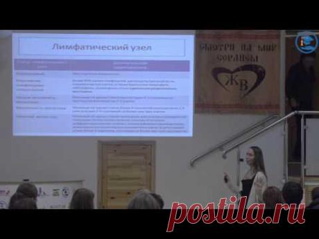«Мастоцитома: простая в диагностике и неоднозначная в лечении», К. В. Лисицкая