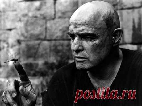 Apocalypse now
Апокалипсис сегодня – это культовый фильм Фрэнсиса Форда Копполы, снятый в 1979 году под впечатлением войны во Вьетнаме.

Капитан спецназа Уиллард (Мартин Шин) получает секретное задание найти в джунглях Камбоджи и уничтожить полковника Куртца (Марлон Брандо), за время пребывания которого во Вьетнаме, его методы стали «неприемлемыми». Вернее, он возомнил себя Богом, и его подчиненные встали на его сторону. Куртц окружил себя племенем из местных, поклоняющихся ему.