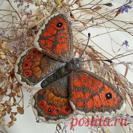 Никогда не вышивала гладью, но увидев удивительных бабочек Марии @venda_val , очень захотелось попробовать. Большое спасибо Маше за МК по объёмной вышивке гладью. Всё понятно и очень подробно. Правда я не стала вышивать листик клевера по МК, а замахнулась сразу на бабочку. Вот такая у меня получилась бабочка бархатница Мегара(это так бабочку зовут). #ручнаяработа #вышивкагладью #брошьручнойработы #вышитыебабочки #вышитыеброши #текстильныеукрашения #некакувсех #хочувhmd #ar...