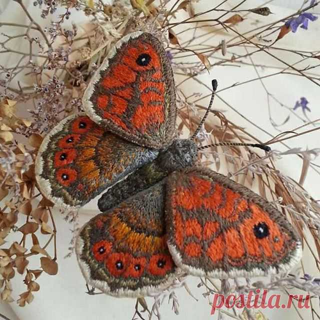 Никогда не вышивала гладью, но увидев удивительных бабочек Марии @venda_val , очень захотелось попробовать. Большое спасибо Маше за МК по объёмной вышивке гладью. Всё понятно и очень подробно. Правда я не стала вышивать листик клевера по МК, а замахнулась сразу на бабочку. Вот такая у меня получилась бабочка бархатница Мегара(это так бабочку зовут). #ручнаяработа #вышивкагладью #брошьручнойработы #вышитыебабочки #вышитыеброши #текстильныеукрашения #некакувсех #хочувhmd #ar...
