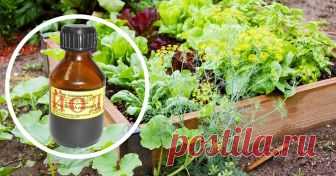 Йод для растений