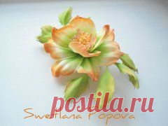 Фотоальбомы
