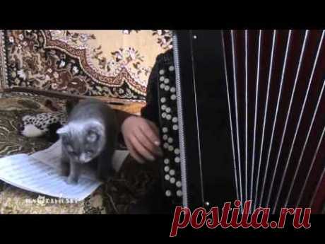 Do not play on it! / Не играй на этом! - YouTube