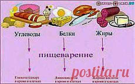 Здоровое питание основано на трех незыблемых принципах: разнообразии, сбалансированности, умеренности: https://15.ak-pitaniya.com/