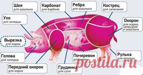 Где у свиньи почеревок , где на свиной туше находится почеревок?