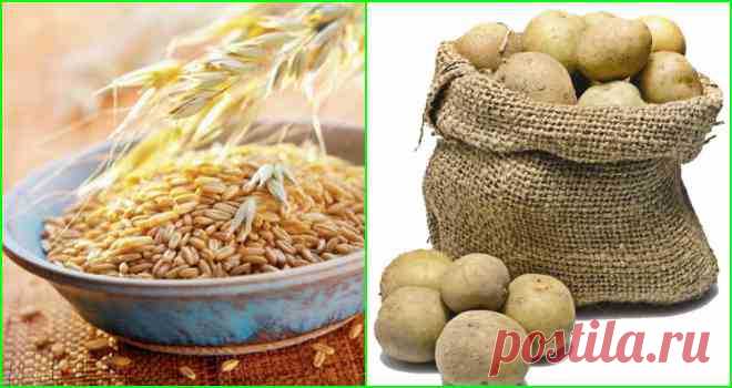 Овес и картошка: диетолог назвала самые недорогие и полезные продукты | Совет