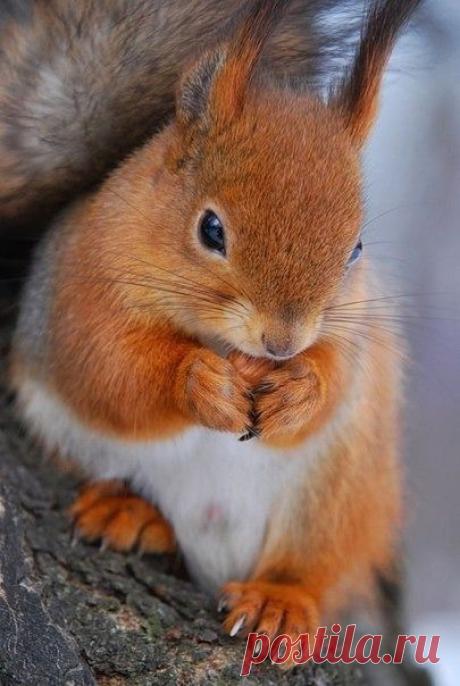 Мой Мир@Mail.Ru