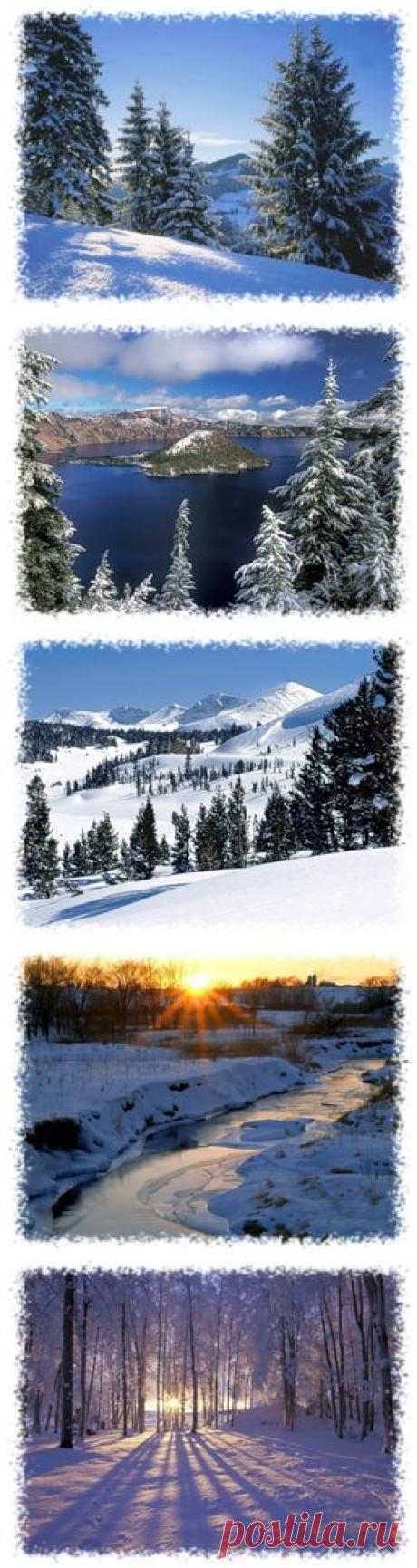 nimfea180776 — альбом «Мои работы / Мой клипарт / Природа. Зима PNG» на Яндекс.Фотках