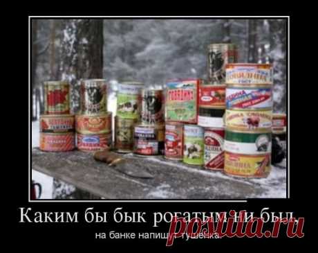 Демотиваторы (30 фото) | Смех без границ