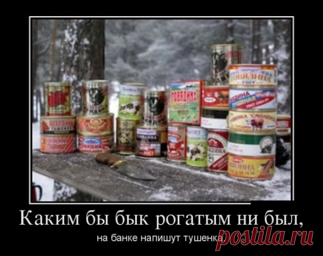 Демотиваторы (30 фото) | Смех без границ