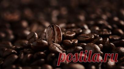 Климатический фактор: почему мировые цены на кофе обновили исторический максимум. Мировые цены на кофе установили исторический рекорд. С начала 2024 года зёрна арабики на международном рынке подорожали почти в два раза и приблизились к $8 за 1 кг. Наблюдаемую динамику эксперты во многом связывают с ухудшением погодных условий в Бразилии и во Вьетнаме, а также с оживлением биржевых спекулянтов. Впрочем, как отмечают аналитики, стоимость горячего напитка в России по-прежнему остаётся стабильной.…