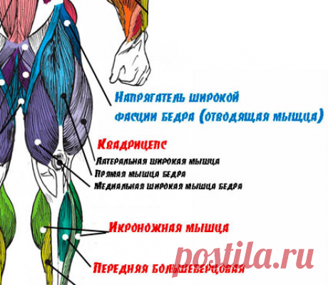 Человек стареет не годами, а ногами.
Слабые ноги – это плохой кровоток, поэтому для сохранения здоровья и повышения иммунитета надо не позволять ногам слабеть.