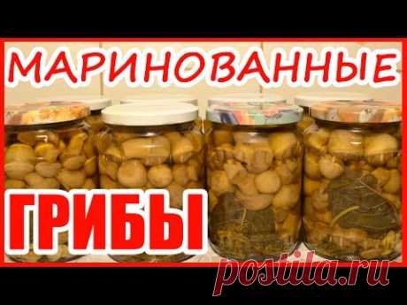 ГРИБЫ МАРИНОВАННЫЕ!!! Рецепт на зиму! - YouTube