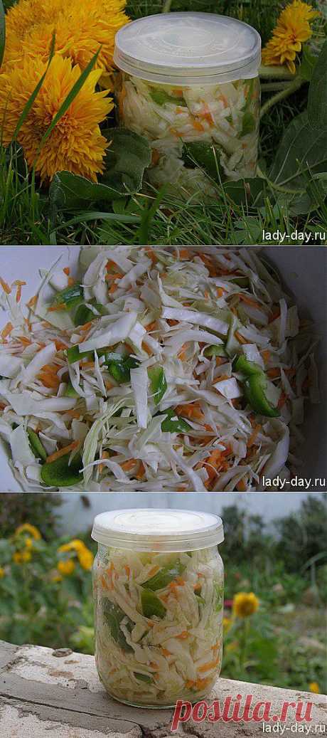 Салат из капусты на зиму | Простые рецепты с фото