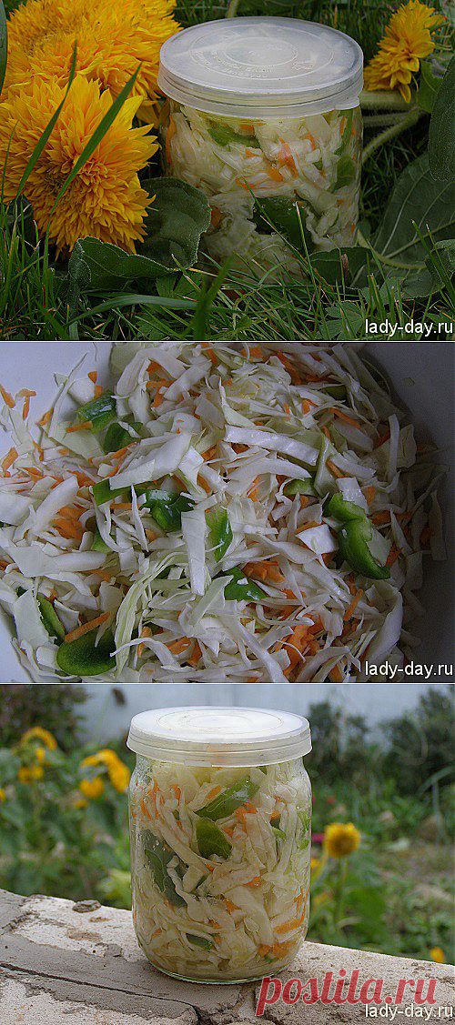 Салат из капусты на зиму | Простые рецепты с фото