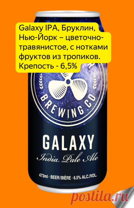 Баночное пиво: обзор лучшего в России | Про самогон и другие напитки 🍹 | Яндекс Дзен