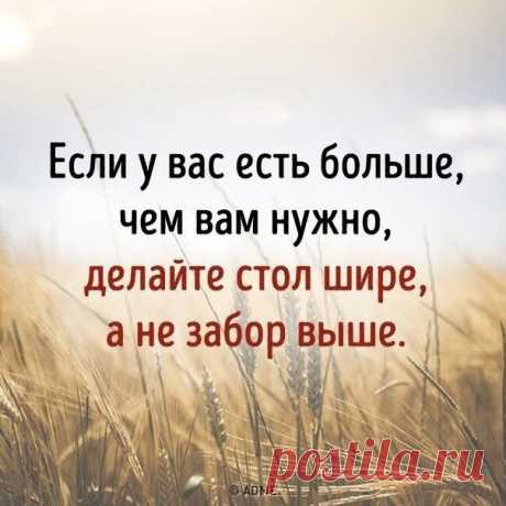 ВОЗРОЖДЕНИЕ НРАВСТВЕННОСТИ!