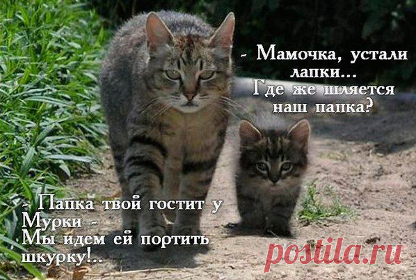 Интересные новости