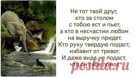 истина