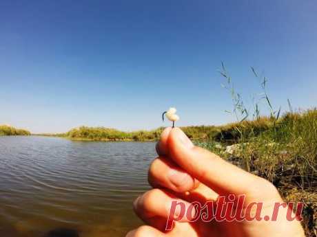 Насаживание перловки на крючок.Рыбалка.Fishing