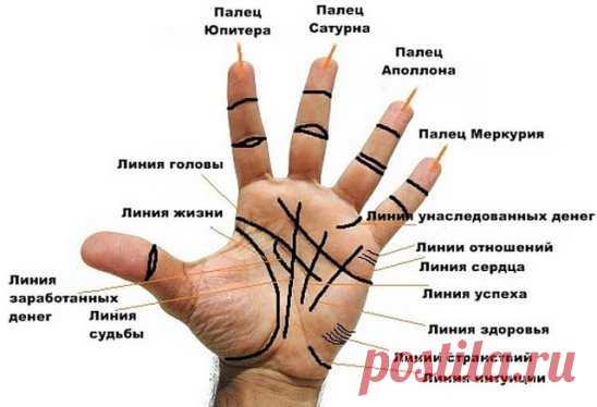 Как прочитать все важные линии на ладони без помощи гадалки