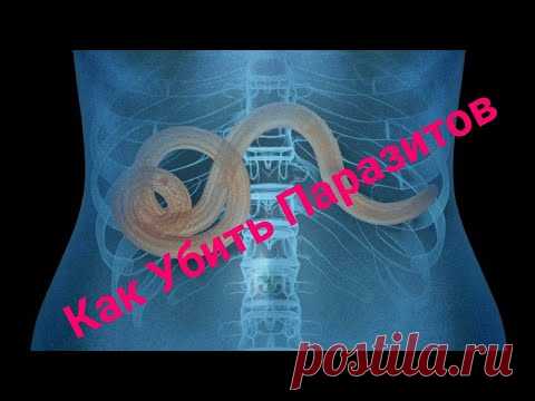 Как Убить Паразитов