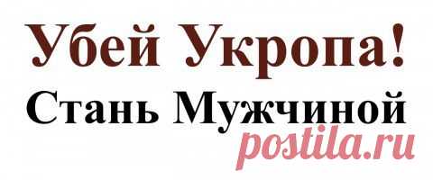 Самое страшное оружие Украины | Разно Всяко
укропанцер-пепелац