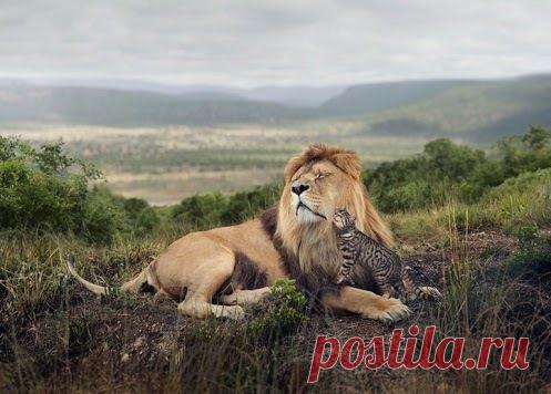 Мой Мир@Mail.Ru