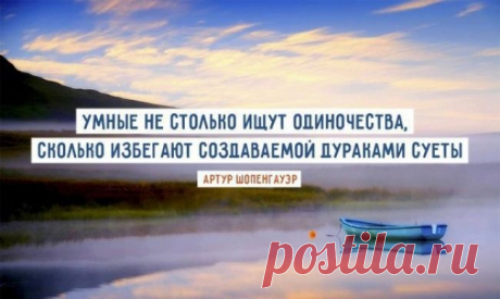Умные не столько ищут одиночества