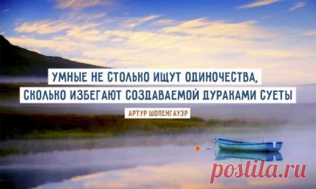 Умные не столько ищут одиночества