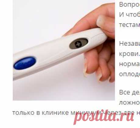 Какими бывают тесты на беременность?
