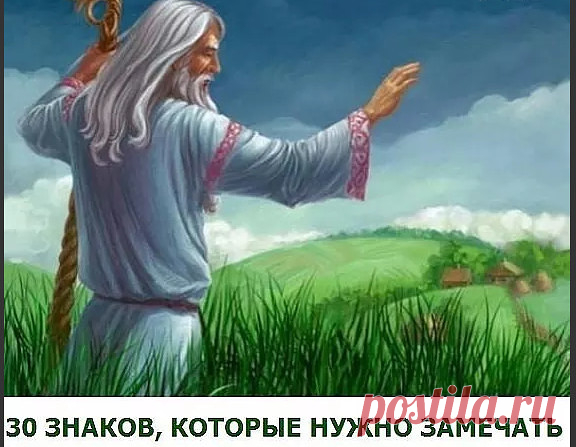 (87) Одноклассники