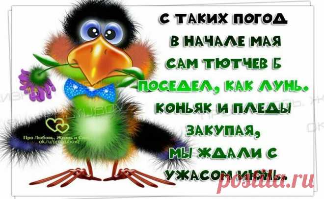 i (798×491)