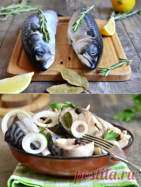 Как засолить скумбрию: 6 вкусных способов - KitchenMag.ru