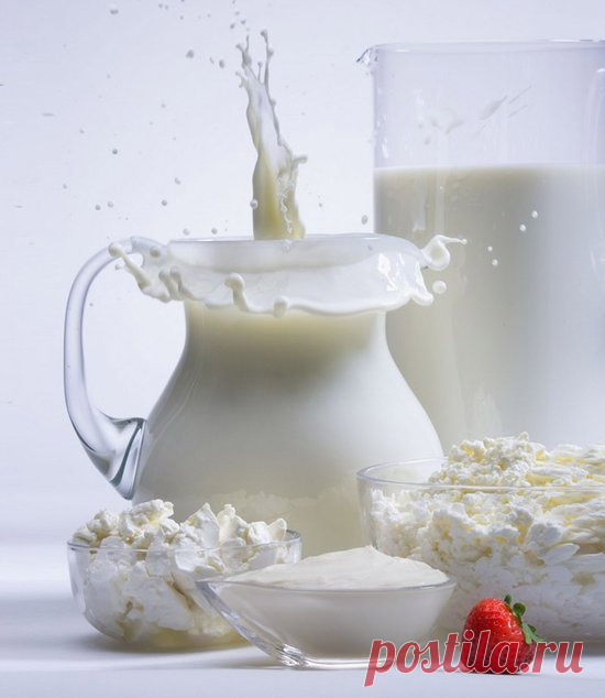 Молочный гриб и его лечебные свойства