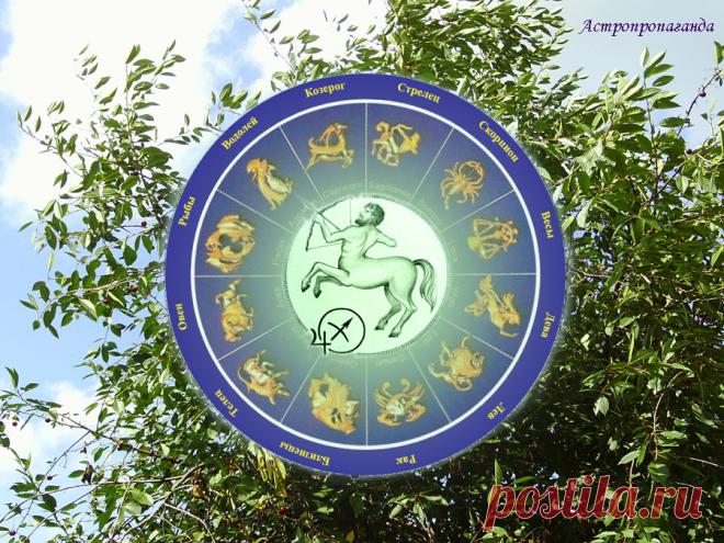 Гороскоп для Стрельца с 3 по 31 июля 2023 

♐ ✨ Автор: астролог Нина Стрелкова. 
✧ Знак, свободный от планет. Юпитер, планета-управитель Стрельца находится в знаке Тельца и актуализирует тему работы, долга, обязанности, необходимости подчиняться при отсутствии желания это делать. В июле Юпитер в основном гармонично взаимодействует с другими планетами, что дает возможность расплатиться с долгами или уклониться от нежелательных обязанностей...