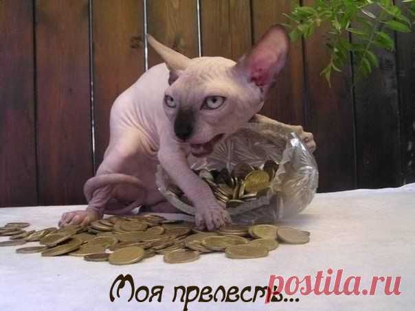 там царь Кощей над златом чахнет....