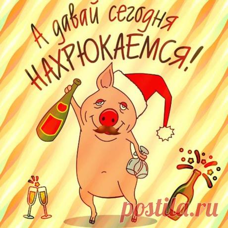 Прикольные пожелания на Новый год 2019 в стихах и прозе