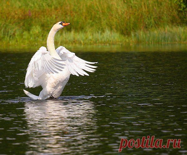 Мой Мир@Mail.Ru