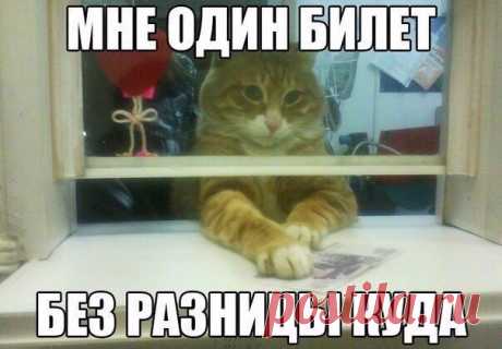 Анекдоты. Выпуск 732 — MustBeFunny.ru - юмор с цензурой каждый день