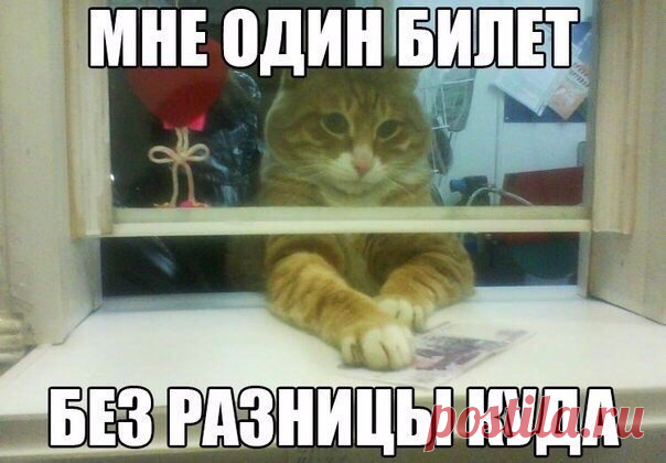 Анекдоты. Выпуск 732 — MustBeFunny.ru - юмор с цензурой каждый день